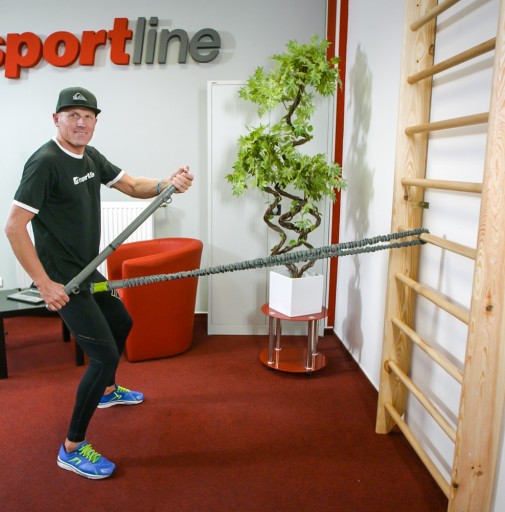 Лестница гимнастическая inSPORTline Steadyline 220x80 см