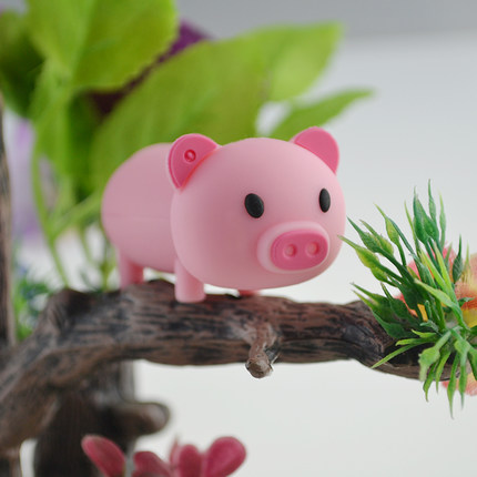 РЕЗИНОВЫЙ ДИСК PIG PITT, 64 ГБ, USB-БРЕЛОК-ПАМЯТЬ, ПОДАРОК