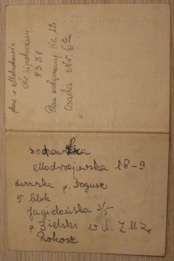 ARBEITSAUSWEIS - Варшау, дата 15.03.1944 ВАРШАВА, ИДЕНТИФИКАЦИЯ СОТРУДНИКА