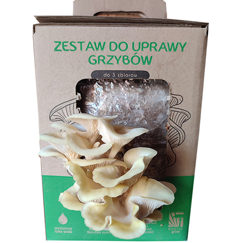 Exotic Grow GRZYBNIA Boczniak Cytrynowy Zestaw do DOMOWEJ UPRAWY Grzybów 6L