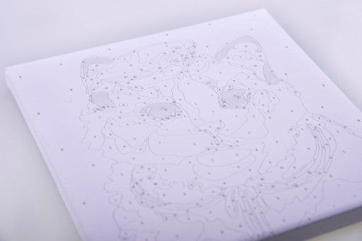 MALOWANIE PO NUMERACH Na Ramie Dla Dzieci Dziecięcy 20x30 cm Śnieżka