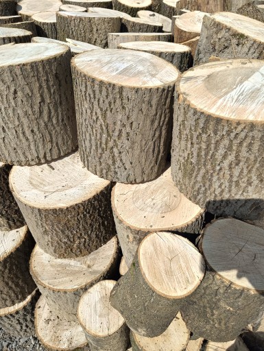 ASH STAMP ASH STAMP ОЧЕНЬ ЖЕСТКИЙ ЗДОРОВЫЙ БОЛЬШОЙ 40-48