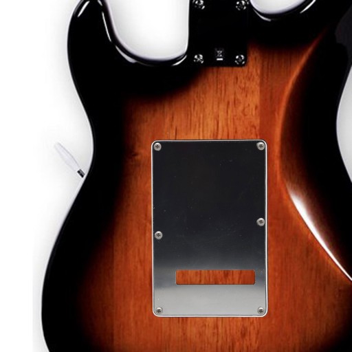 Тремоло Cavity Cover Backplate Аксессуары Dark Bkack Guitars