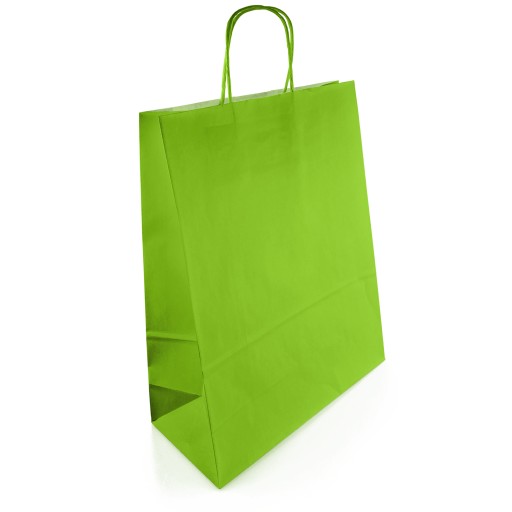 Torba torebka papierowa z uchwytem kraft 250x110x320 zielona 10szt.