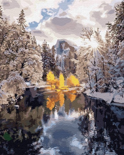 Картина для КРАСКИ ПО ЦИФРАМ на раме ARTNAPI
