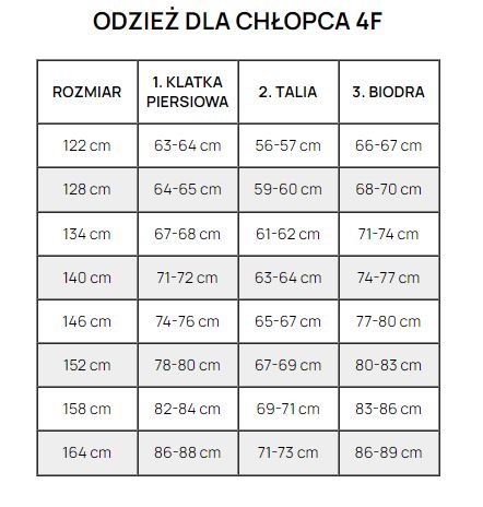 СПОРТИВНАЯ ФУТБОЛКА ДЕТСКАЯ 4F ДЛЯ МАЛЬЧИКОВ