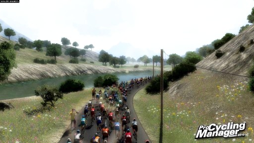 Pro Cycling Season 2010 Tour de France - игра для консолей Sony PSP.
