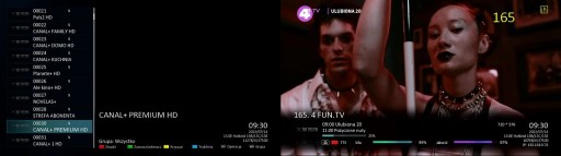 Qviart OG2s LINUX Enigma 2 Мультирум IPTV-тюнер