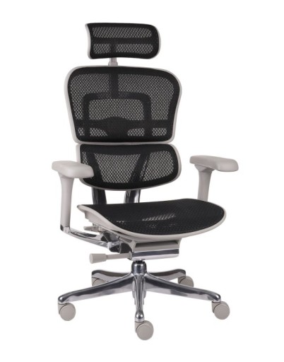 Офисное кресло Ergohuman 2 Elite Mesh, черный