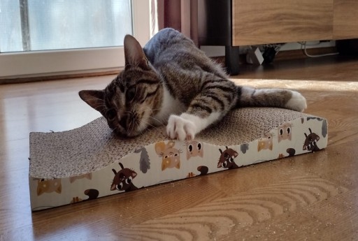 Когтеточка для кошек из картона Catnip WAVE