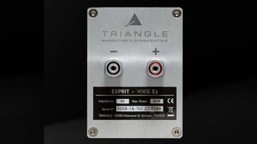 Центральная колонна Triangle Esprit Voce EZ White