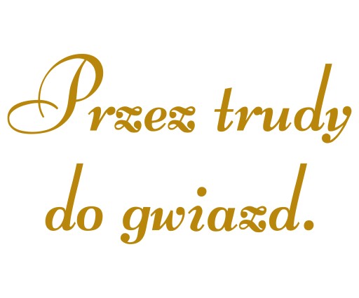 naklejka napis Przez trudy do gwiazd. 70x39cm na ściankę, dekoracja sali