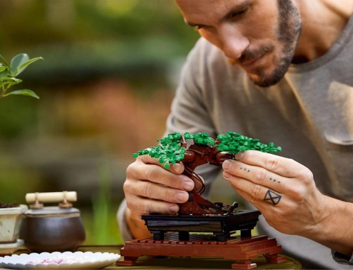 LEGO Creator Expert Дерево бонсай 10281 Иконки