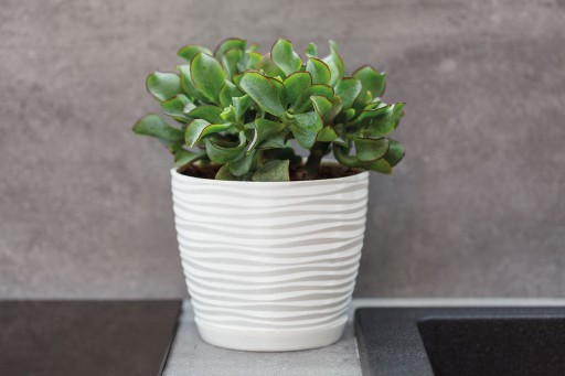 Doniczka Sahara Petit z podstawką KREMOWA 27 cm
