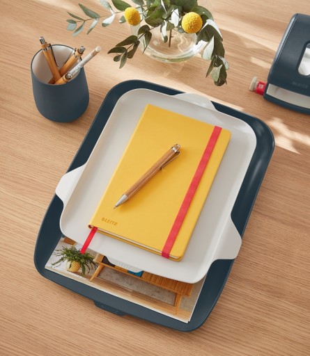 Полка для документов Leitz Cozy A4, серая, 2 шт.
