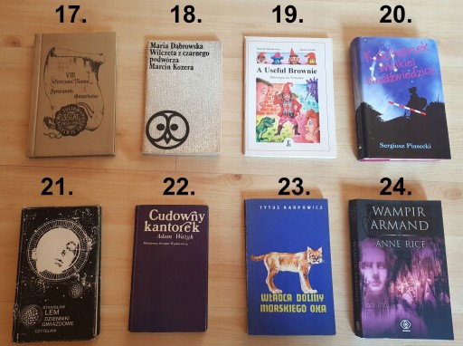 Старые книги Польской Народной Республики, различные романы, путеводители, альбомы.