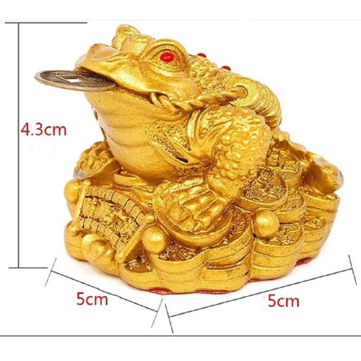 Feng Shui Pieniądze Chan Urok Skarb