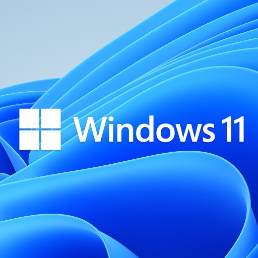 Операционная система Microsoft Windows 11, польская версия HAJ-00116