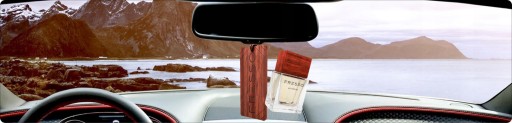 АВТОМОБИЛЬНЫЙ ДУХ FRESSO GENTLEMAN 50 МЛ + АРОМАТИЧЕСКИЙ КУЛОН В ПОДАРОК