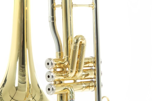 Roy Benson Bb VT-227 тенор-клапанный тромбон