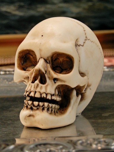 ЧЕРЕП MEMENTO MORI: БЫТЬ ИЛИ НЕ БЫТЬ ПОСВЯЩЕНИЕ
