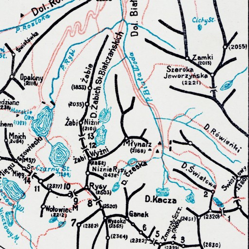 Карта Татр - Польские Татры - Прушинский - 1914 г. - 100x70 см