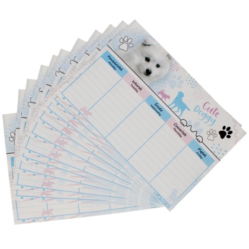 PLAN LEKCJI PIESKI STARPAK 409084