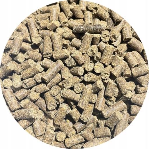 BIOFEED HORSE & PONY Suplementy granulat na stawy dla koni kolagen 900g