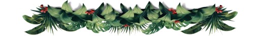 КОФЕ В ЗЕРНАХ ЭФИОПИЯ Йиргачеффе Свежеобжаренный - 100% АРАБИКА - СИНЯЯ КАСАТКА