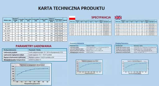 Аккумулятор MEGALIGHT AGM 115 Ач для кемпера Camp Jacht