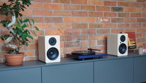 ПРОЕКТ ДЕБЮТ CARBON BLUE+ARGON AUDIO ALTO A5 ASH