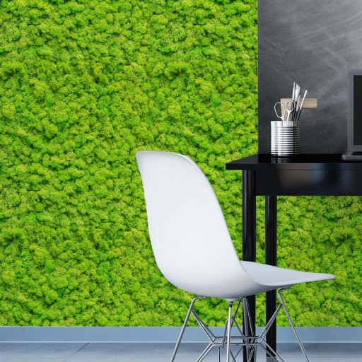 ОБОИ MOSS GREEN WALL PLANT MOTIF 5105al