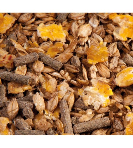Pasza dla koni Eggersmann EMH Classic Musli 20 kg