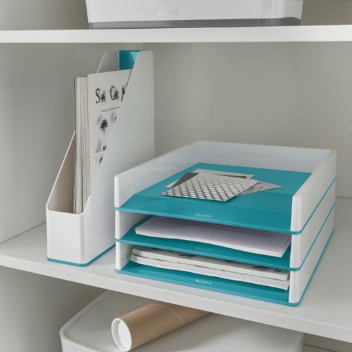 Контейнер для документов Leitz WOW Organizer