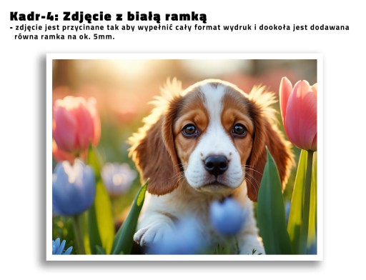 Powiększenie zdjęcia 30x45 Odbitka 45x30 zdjęcie plakat druk Papier MATOWY