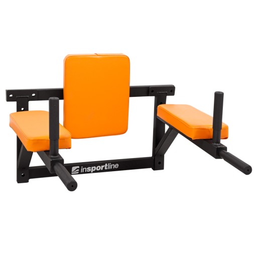 Настенный турник inSPORTline RK120