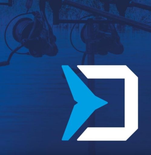 Delphin Спортивные штаны RAWER L