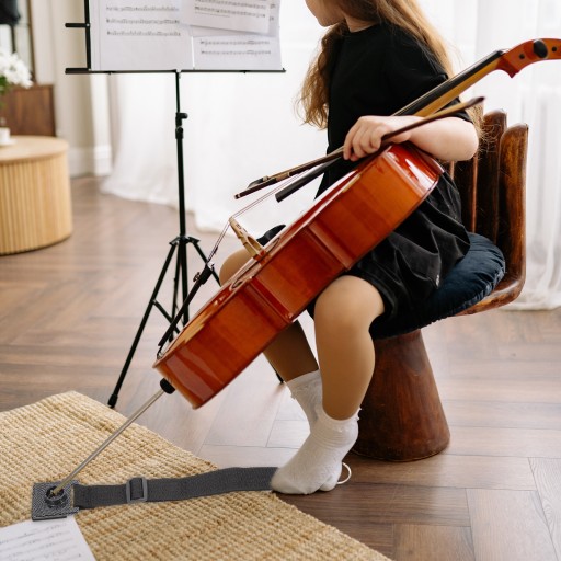 ЗАЩИТНЫЙ НАПОЛЬНЫЙ TIP STOP CELLO CELLO