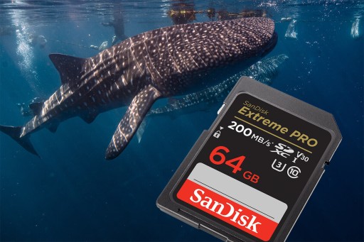 Карта памяти SANDISK Extreme PRO SDXC 64 ГБ