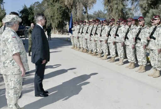 BRENDA Поляризованные солнцезащитные очки IRAK