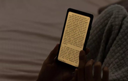 Электронная книга ONYX BOOX Palma Black