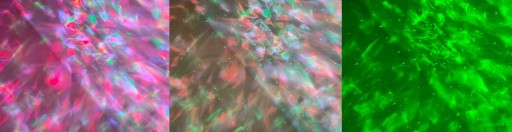 ЗВЕЗДНЫЙ ПРОЕКТОР НОЧНИК СВЕТОДИОДНЫЙ ПРОЕКТОР ЯЙЦО ДИНОЗАВРА ДЛЯ ДЕТЕЙ В ПОДАРОК