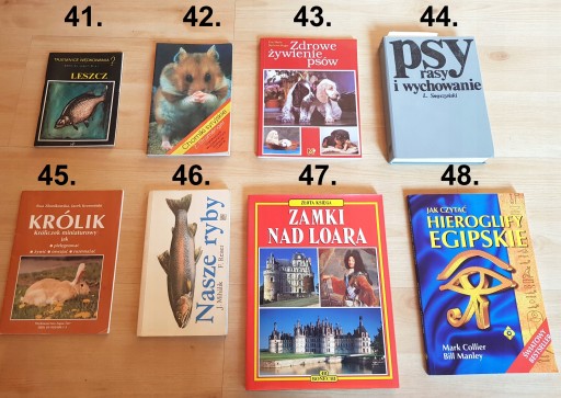 Старые книги Польской Народной Республики, различные романы, путеводители, альбомы.