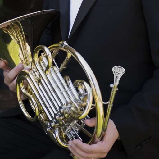 USTNIK DO WALTORNI INSTRUMENTY MUZYCZNE SREBRO