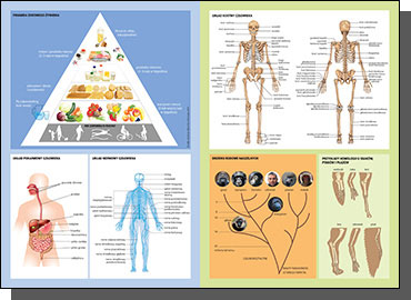 Vademecum Matura BIOLOGY 2022 Matura GREG