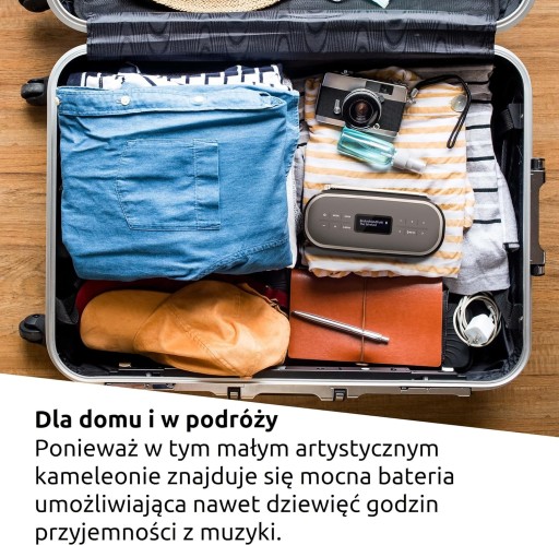 Динамик DAB+ FM Сетевое радио TechniSat DIGITRADIO BT 1