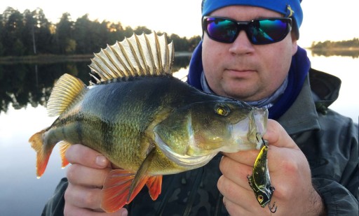 ЛЕЗВИЕ CICADA GUNKI KAIJU 6,5 см/19,5 г - HL MINNOW [