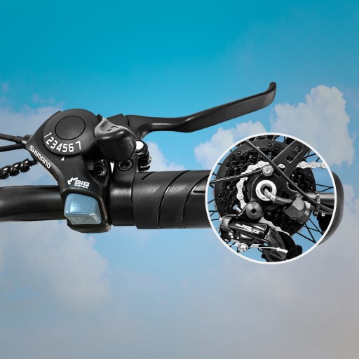Cheevalry Męski/Damski E-bike Rower elektryczny 250W 120KM 20AH 26