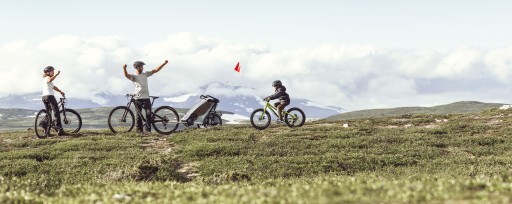 Велосипедный прицеп Thule Chariot Cross 1 коляска