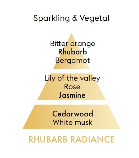 Каталитическая лампа Maison Berger Paris SPIRALE + наполнитель Rhubarb Radiance 250 мл